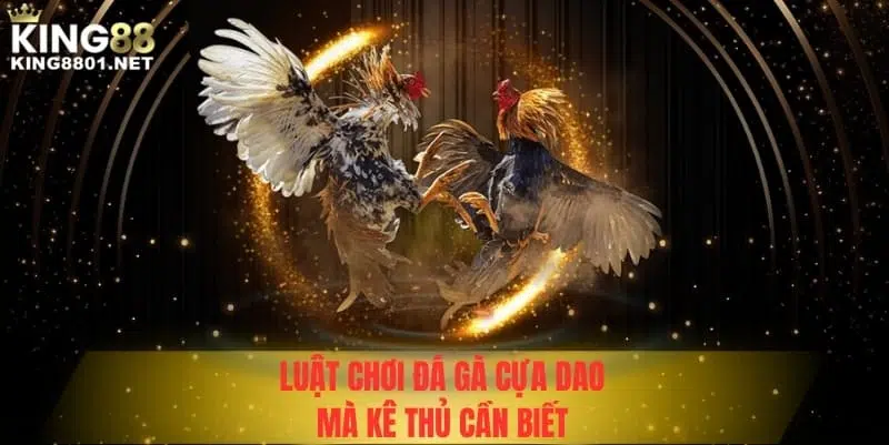 Luật chơi đá gà cựa dao kê thủ cần biết