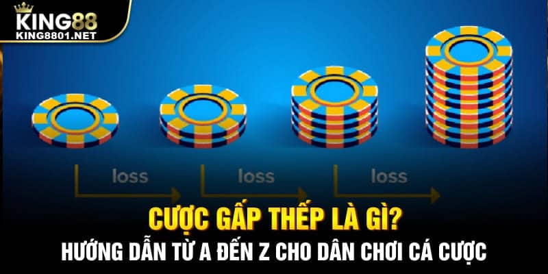Cược gấp thếp là gì? Hướng dẫn từ a đến z cho dẫn chơi cá cược